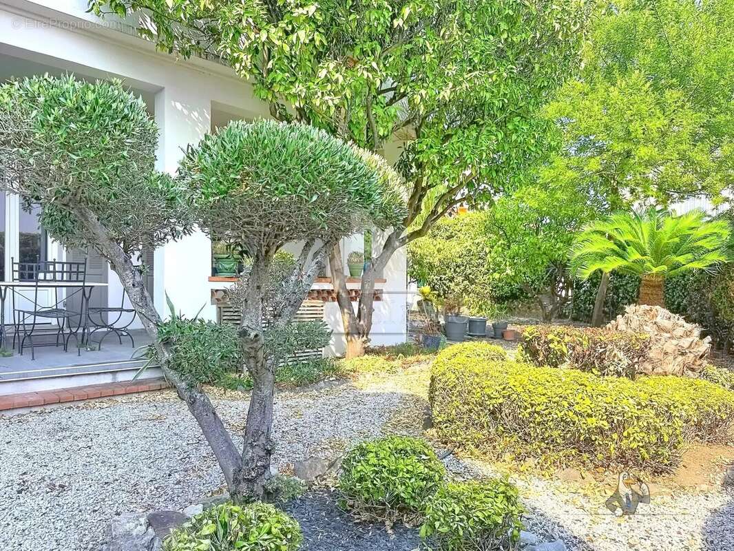 Cannes stanislas maison 6 pieces jardin vue mer - photo 3