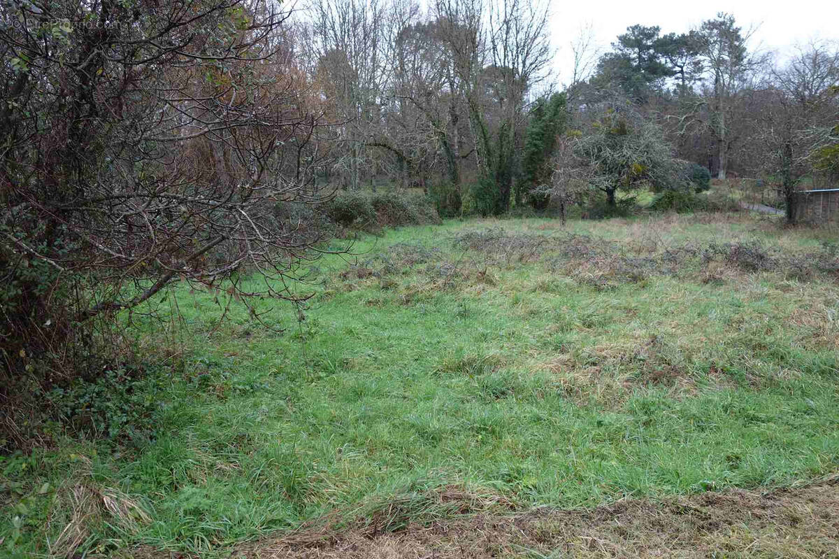 Terrain à BERSON