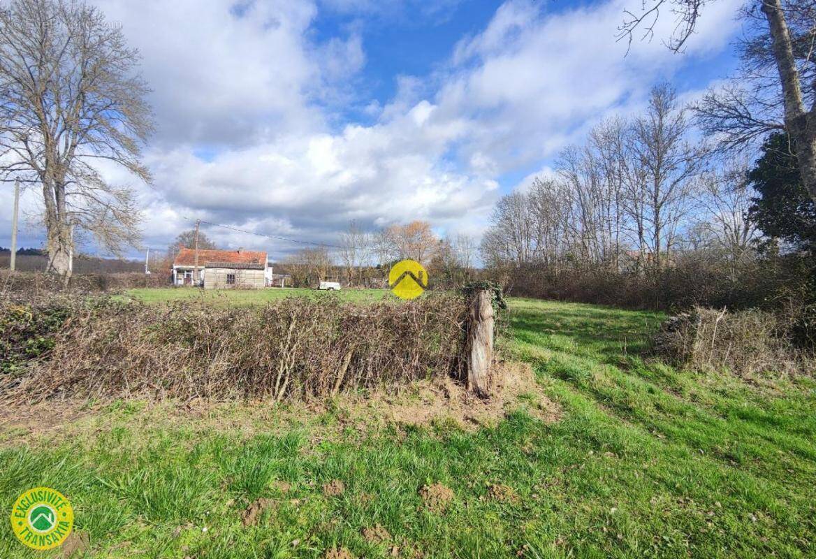 Terrain à MENETOU-COUTURE