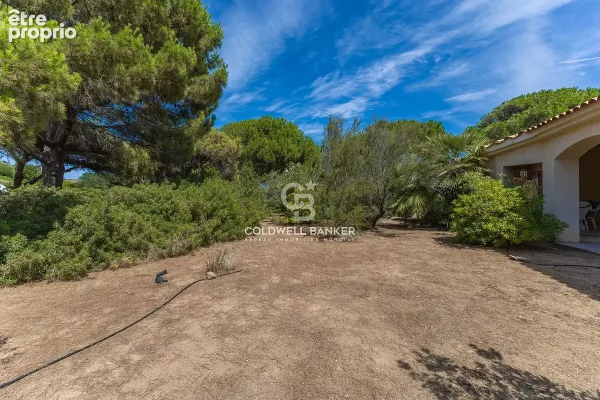 Corbara - Marine de Davia - Villa avec potentiel - plage à pied - photo 13