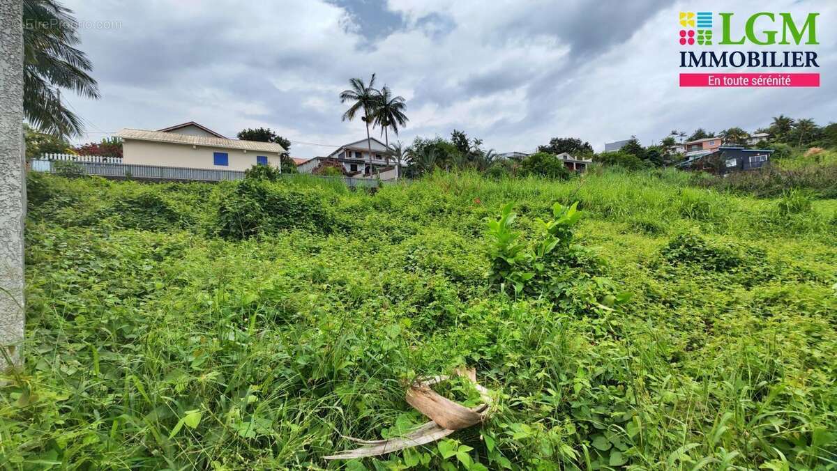 Terrain à LE TAMPON