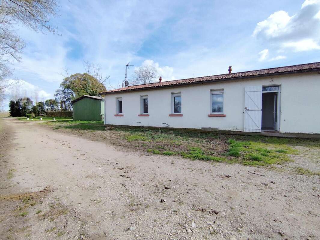 Photo 3 - Appartement à CASTELSARRASIN