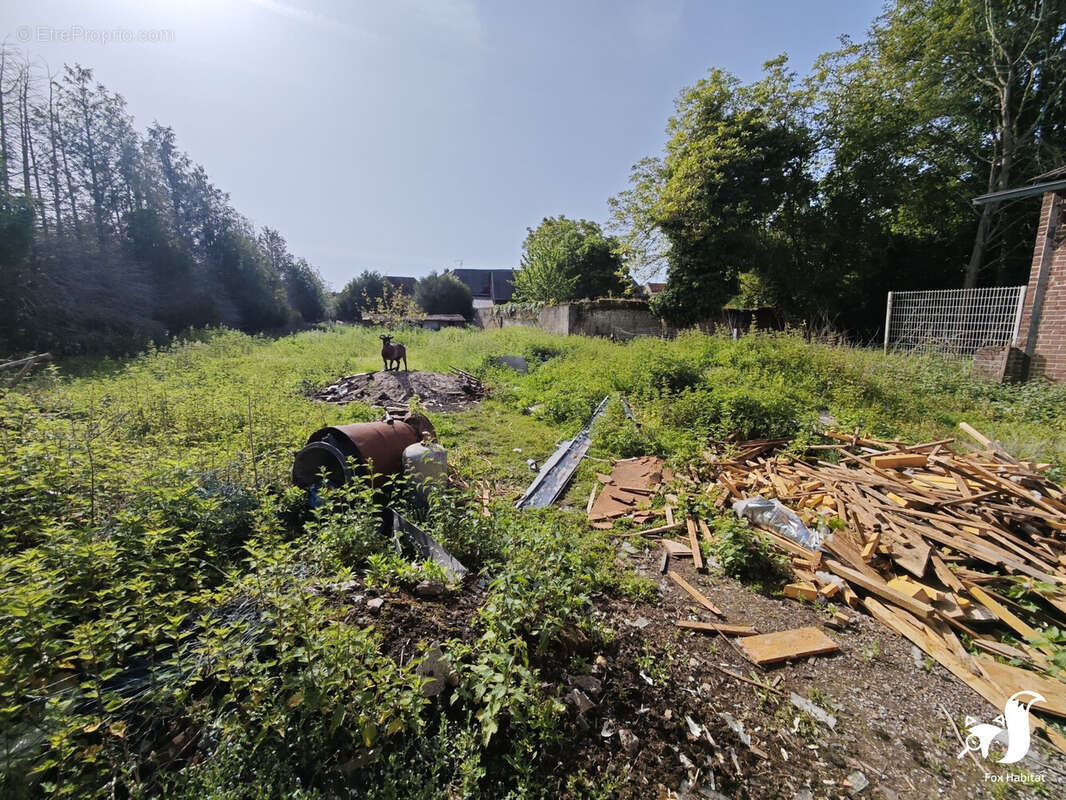 Commerce à AVESNES-LES-AUBERT