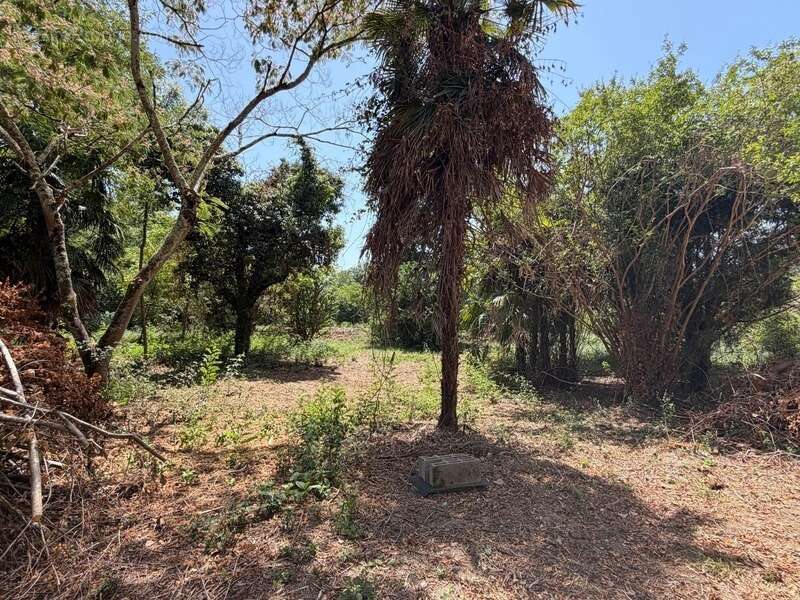 PLAISANCE du GERS proche(32): ANCIENNE PROPRIETE BOURGEOISE avec dépendances, bois, petit etang, 2 hectares,CALME, sans vis à vi - photo 22