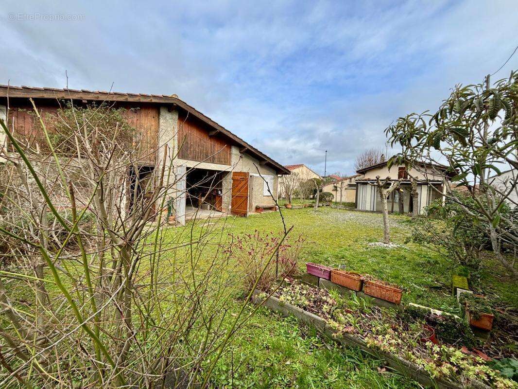 Maison à MURET