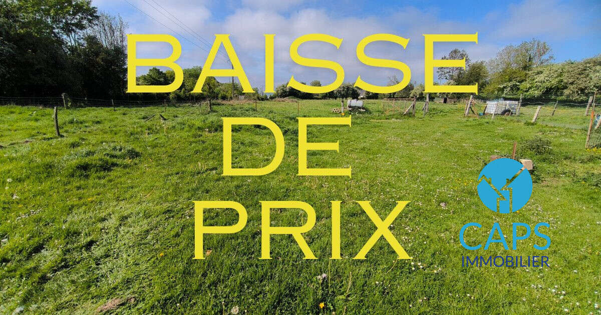 Terrain à LE MESNIL-REAUME