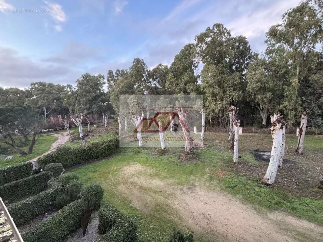 Appartement à CALVI