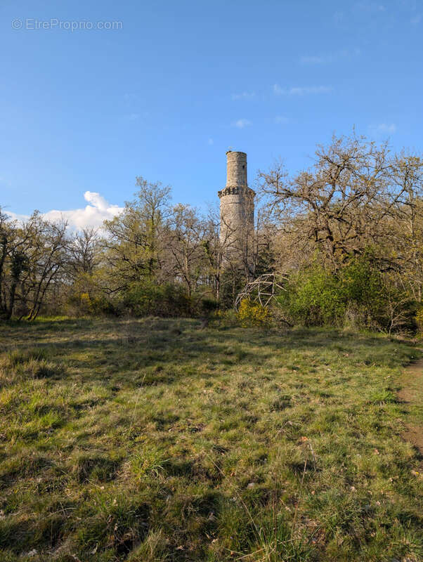 Terrain de loisirs et forestier exceptionnel - 119 633m2 - janville sur juine - photo 10