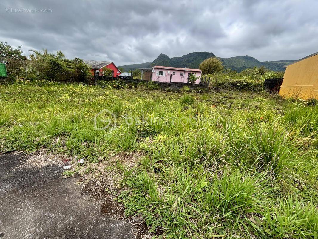 Terrain à LA PLAINE-DES-PALMISTES