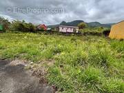 Terrain à LA PLAINE-DES-PALMISTES