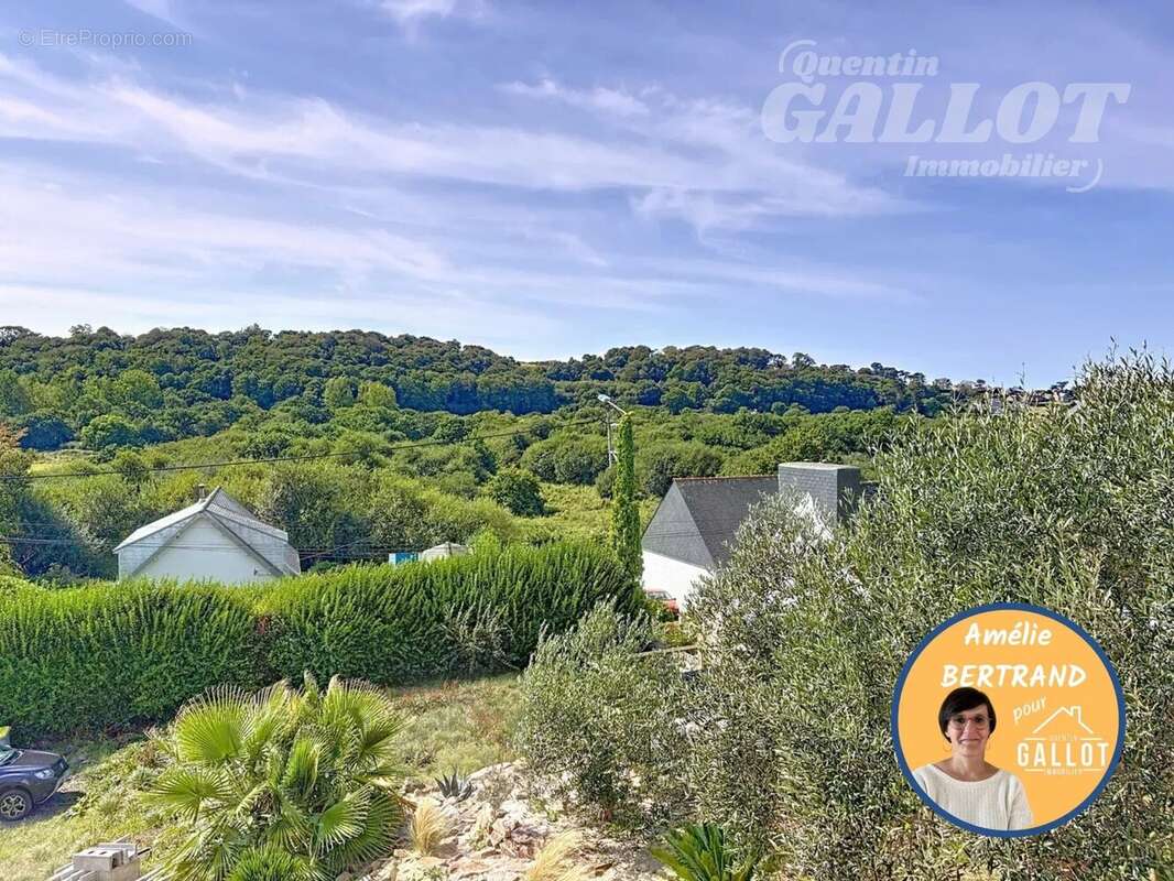 Maison à TREVOU-TREGUIGNEC