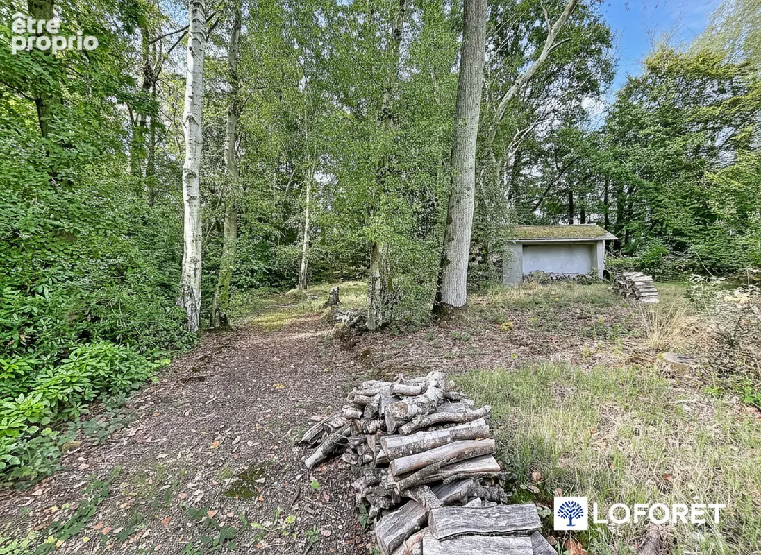 Maison de caractère de 200 m²  au calme, environnement privilégié - photo 4