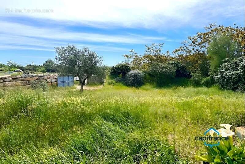 Maison à VIC-LA-GARDIOLE