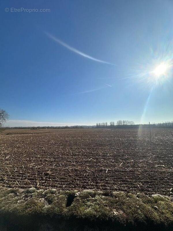 Photo 1 - Terrain à LA MAXE