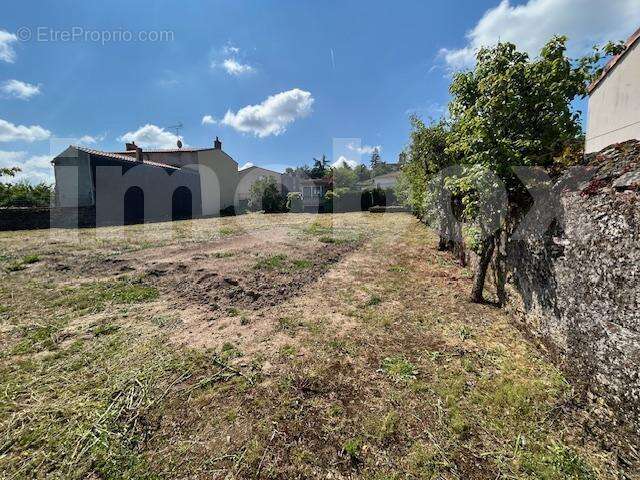 IMG_8693 - Terrain à LIRE