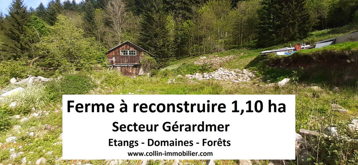 Terrain à GERARDMER