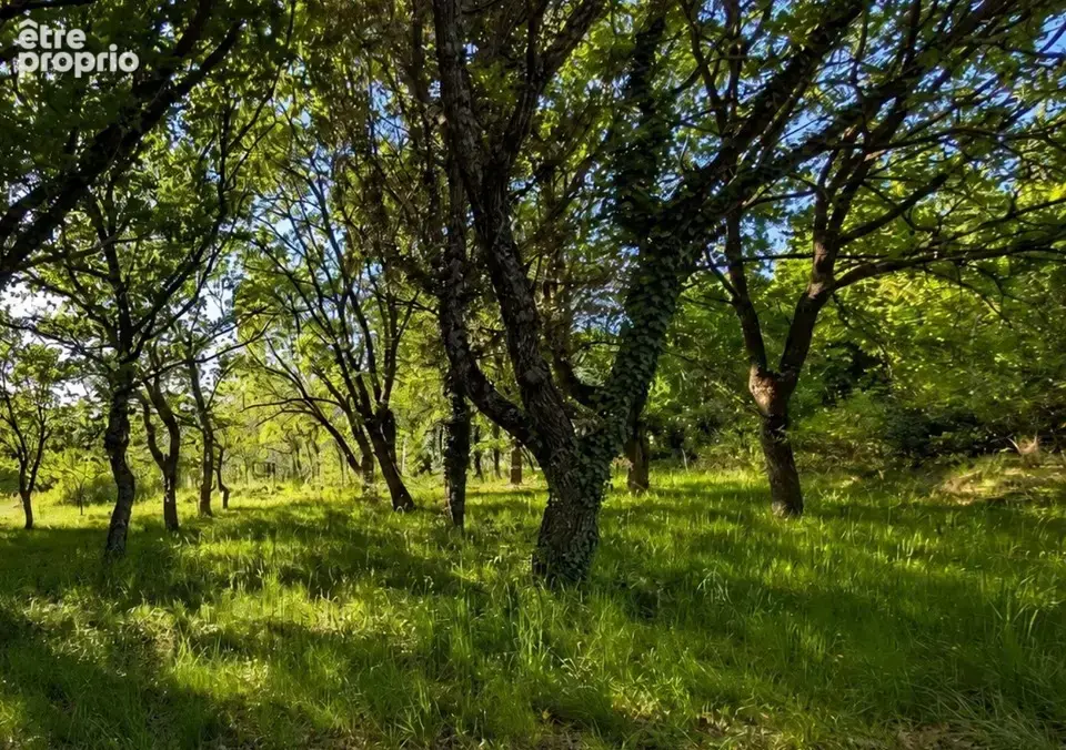Terrain 1 200 m² à vendre à Le Poet-Laval (26160) - photo 4