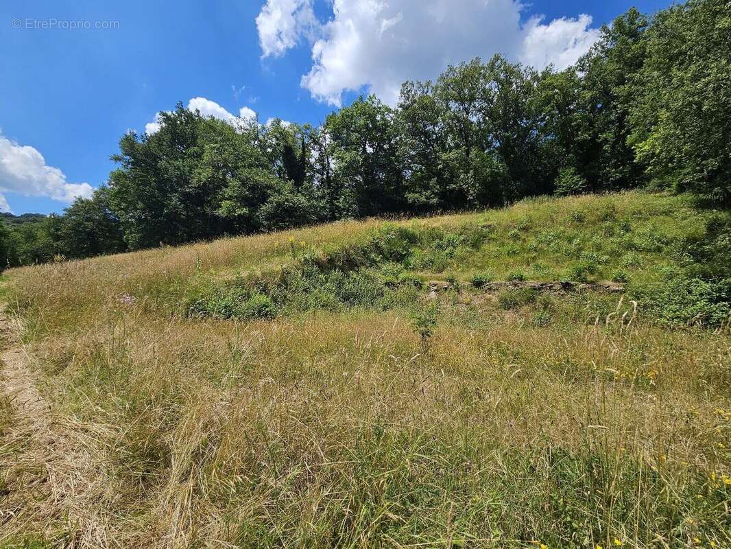 Terrain constructible dans un village historique - photo 3
