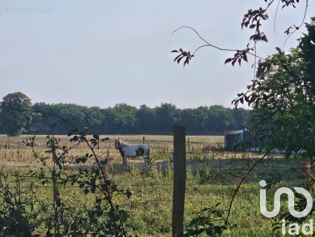 Photo 6 - Terrain à LE GUA