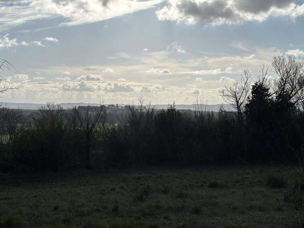 Terrain à VILLEPINTE