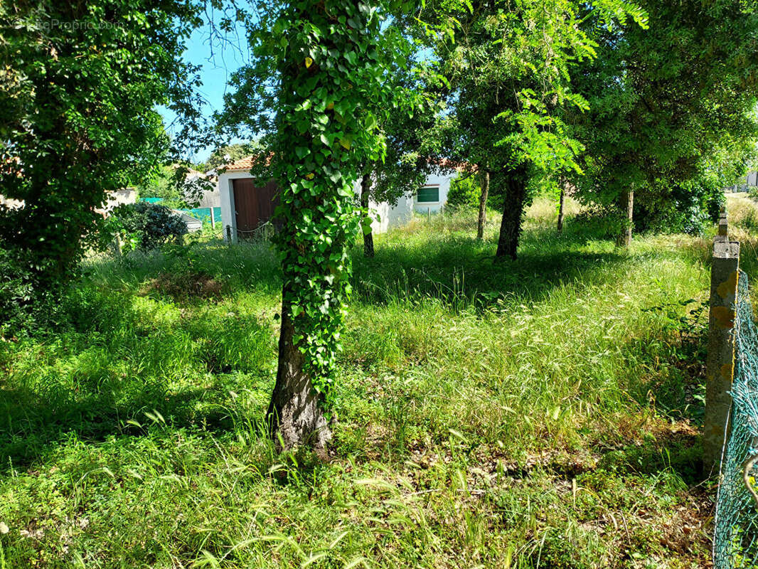 Terrain à SAINT-PIERRE-D&#039;OLERON