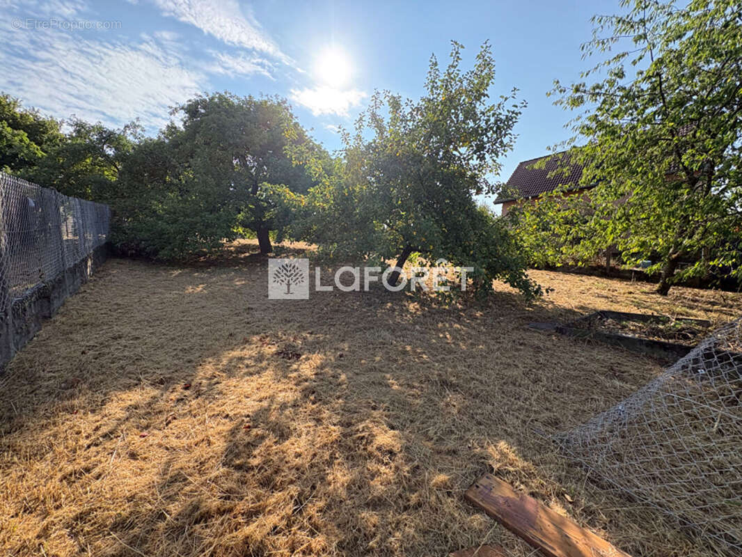 Terrain Héricourt constructible  borné de 680m2 - photo 4