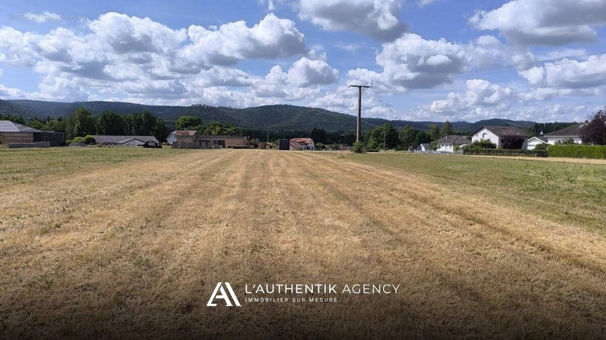Terrain à LA SALLE
