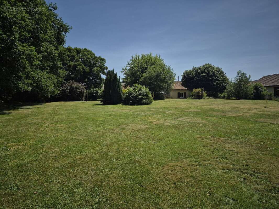 20260528142646 - Maison à CHAMPS-ROMAIN