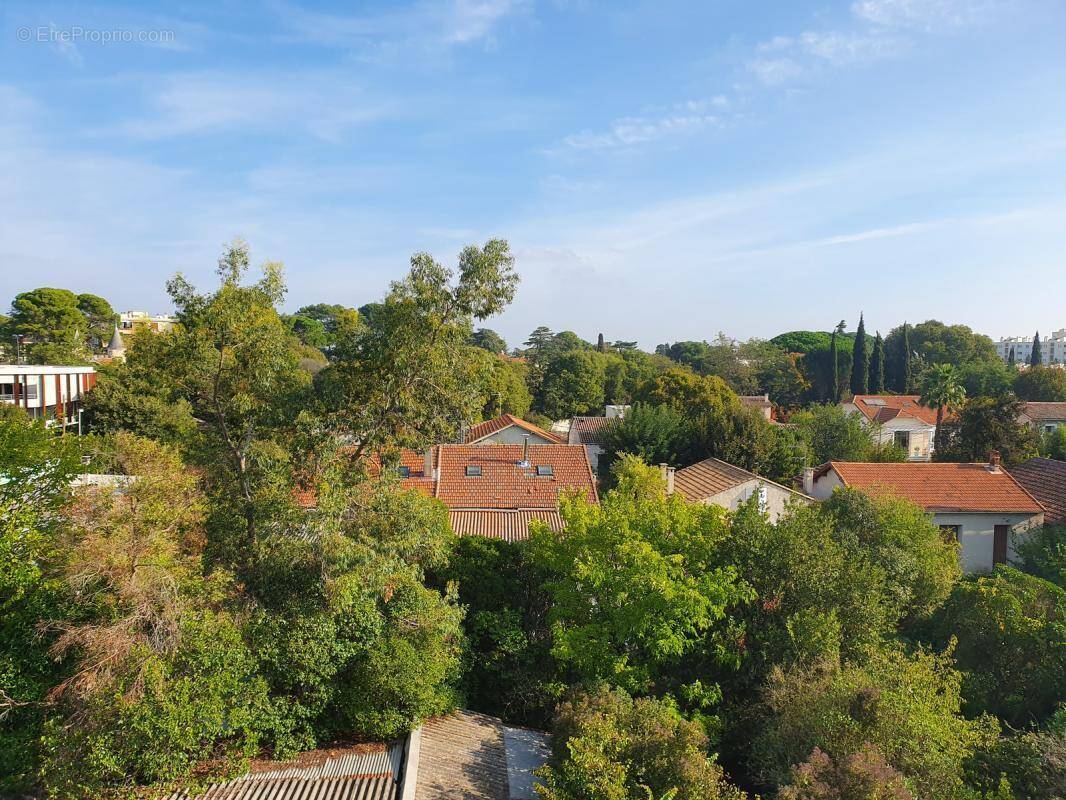 Appartement à MONTPELLIER