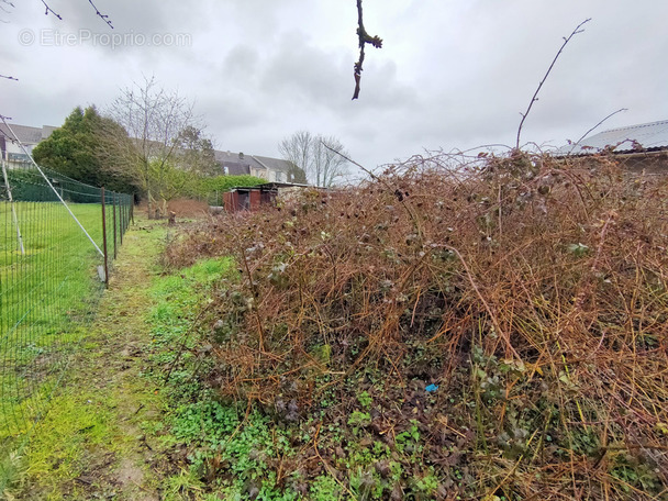 Maison à VILLERS-COTTERETS
