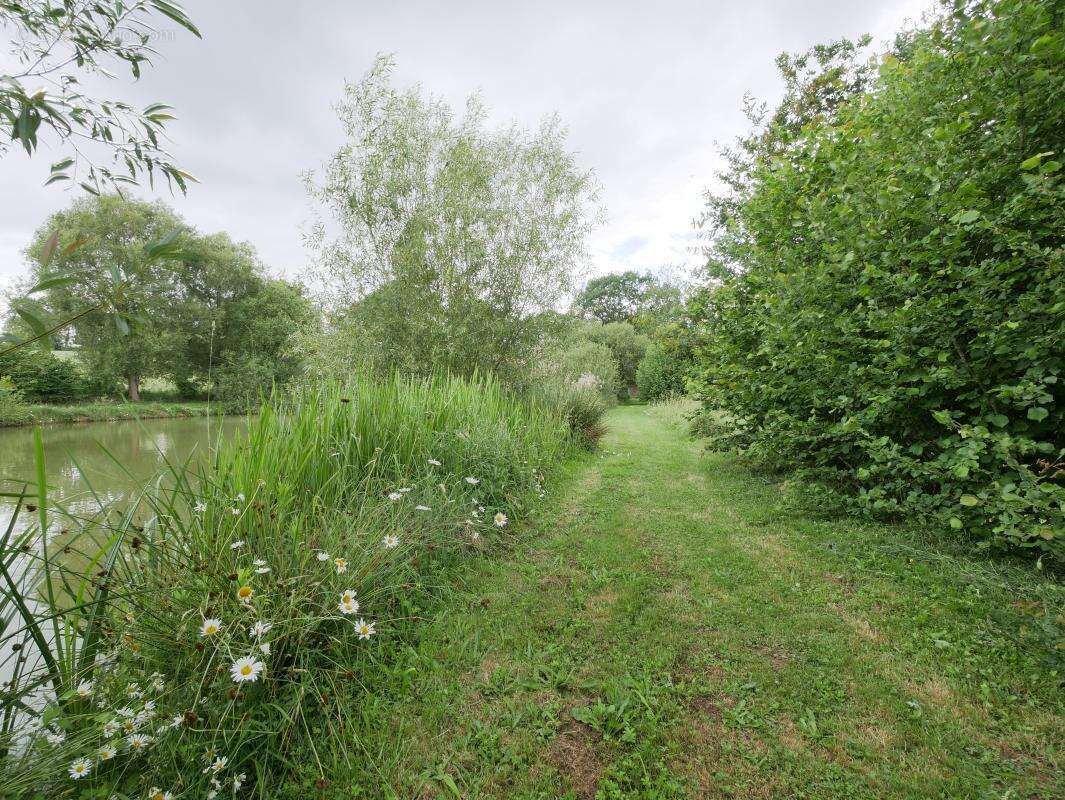 Terrain 5 062 m² à vendre à Saint-Aubin-D'aubigne (35250) - photo 4