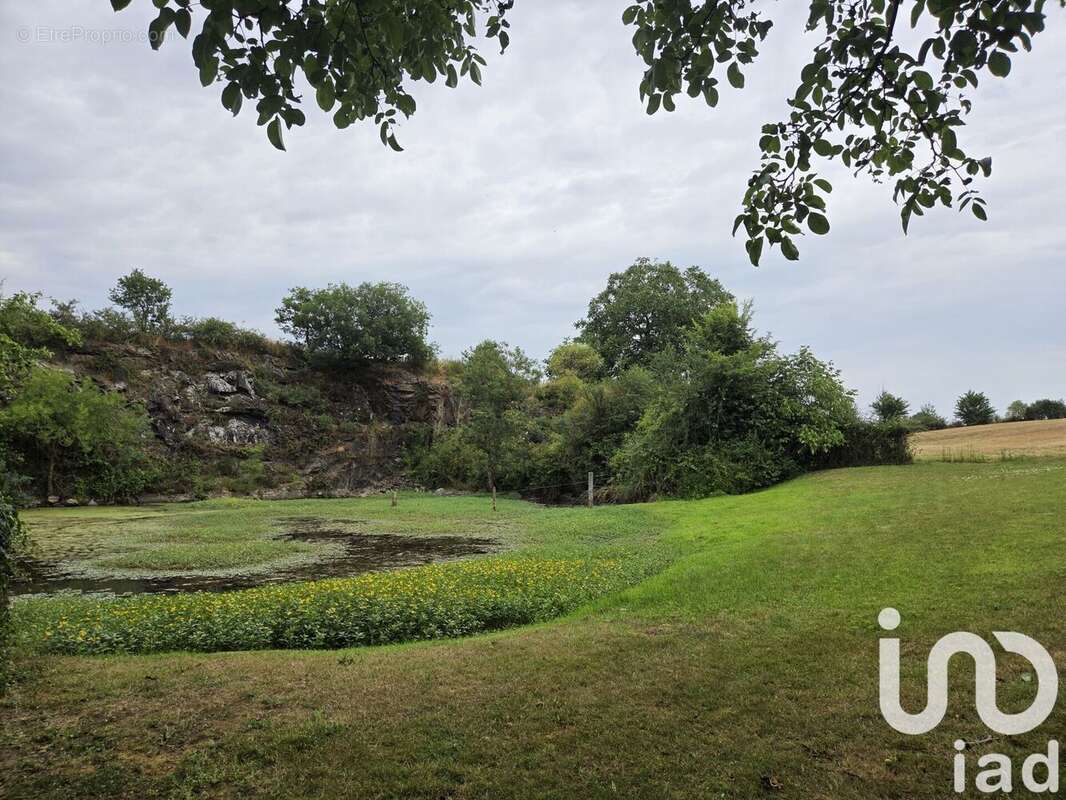 Photo 2 - Maison à CHEMILLE