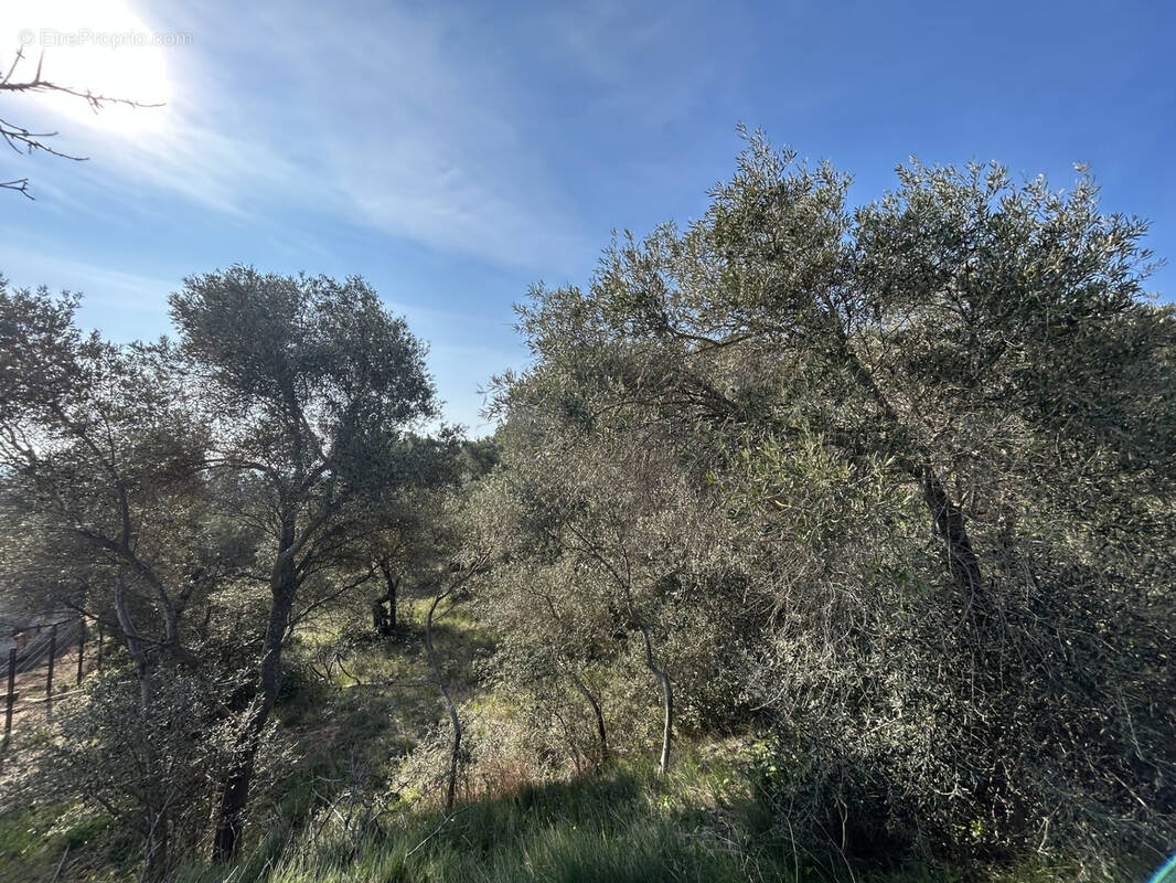 Terrain à LEZIGNAN-CORBIERES