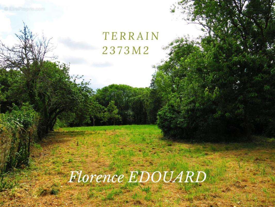 Terrain 2373 m² à Cleden-Cap-Sizun  - photo 2