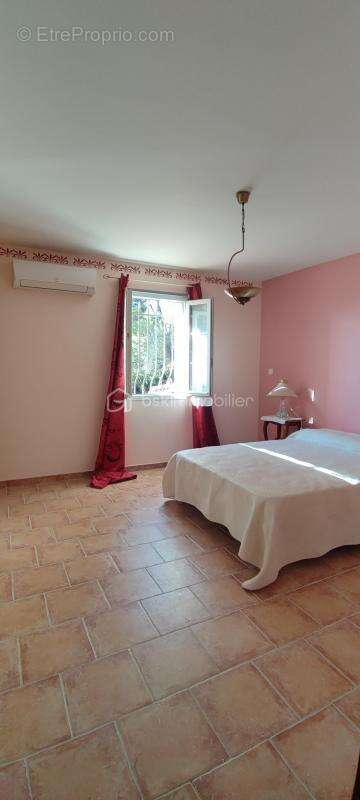 Villa traditionnelle 250 m² T2 terrain 7300 m² Piscine - photo 17