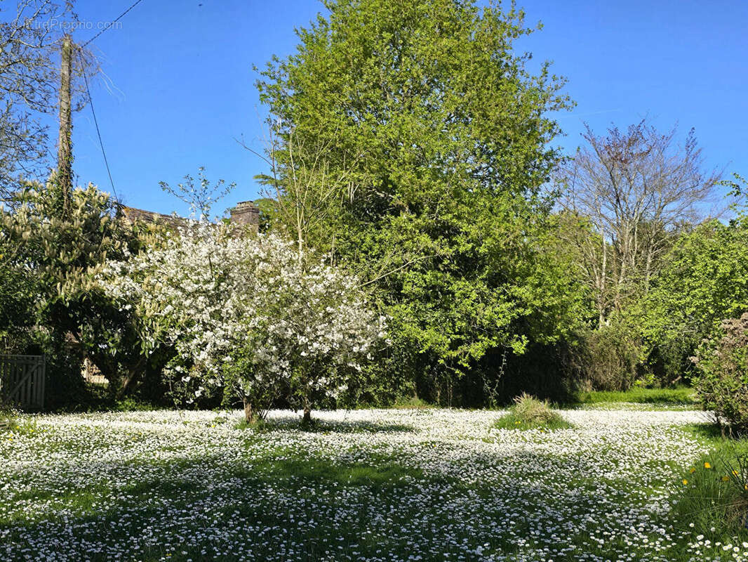 Maison à ETIVAL-LES-LE-MANS
