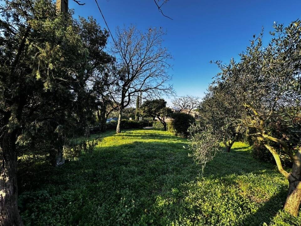 Terrain à PUGET-SUR-ARGENS