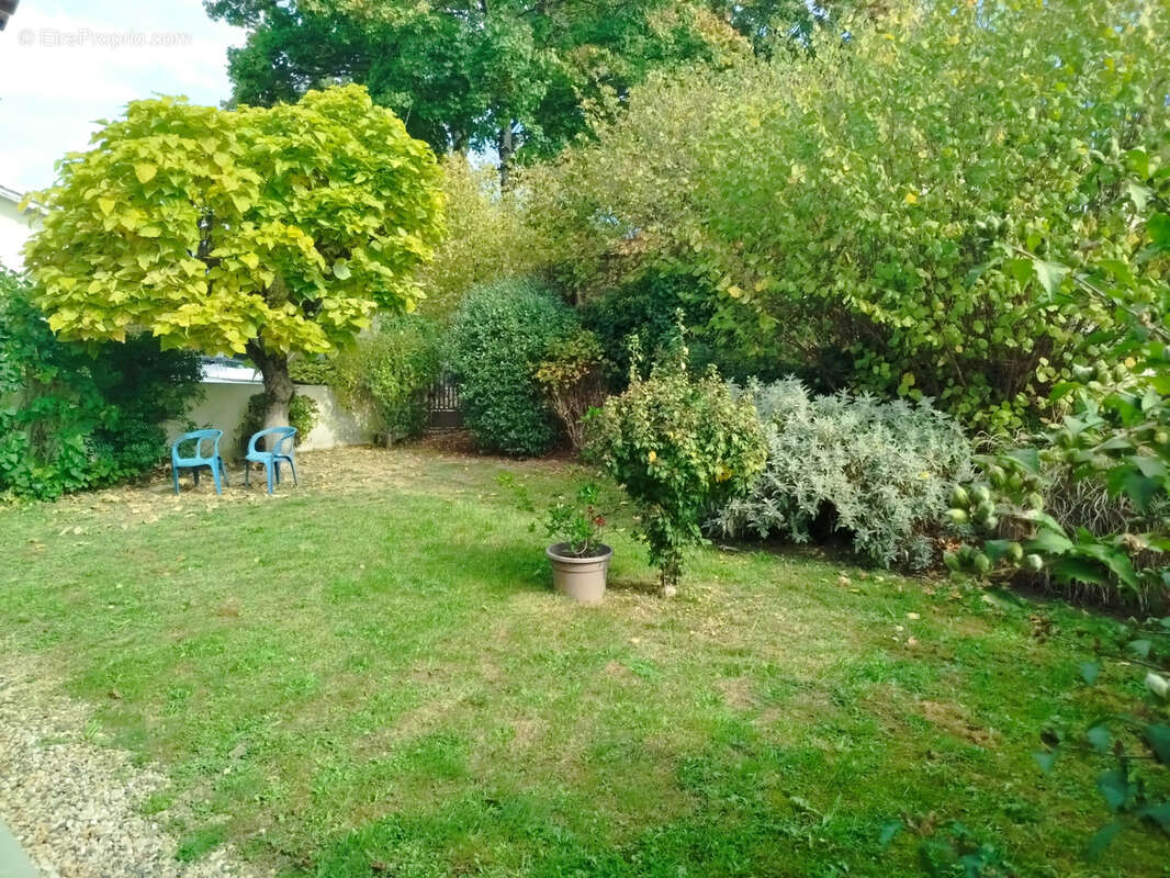 Commerce à PELLEGRUE