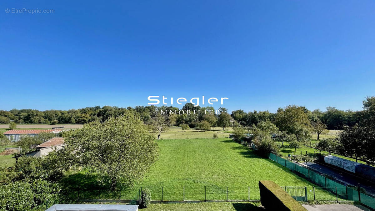 Appartement à HERBSHEIM