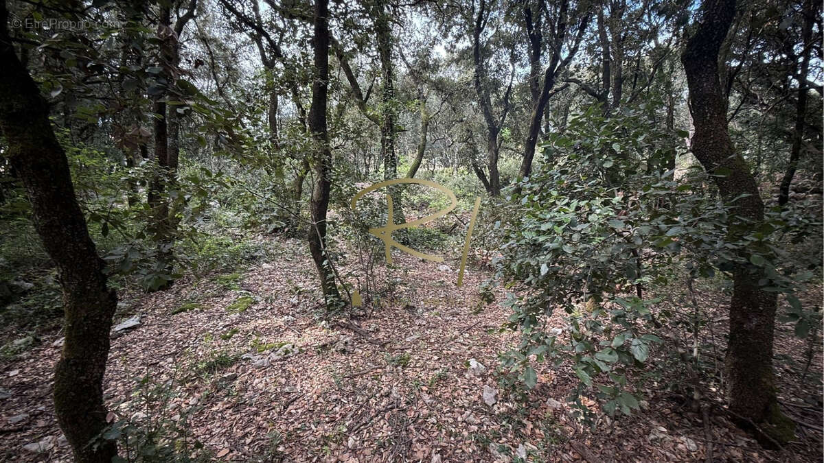 Terrain à Bâtir Sud Ardèche - photo 7