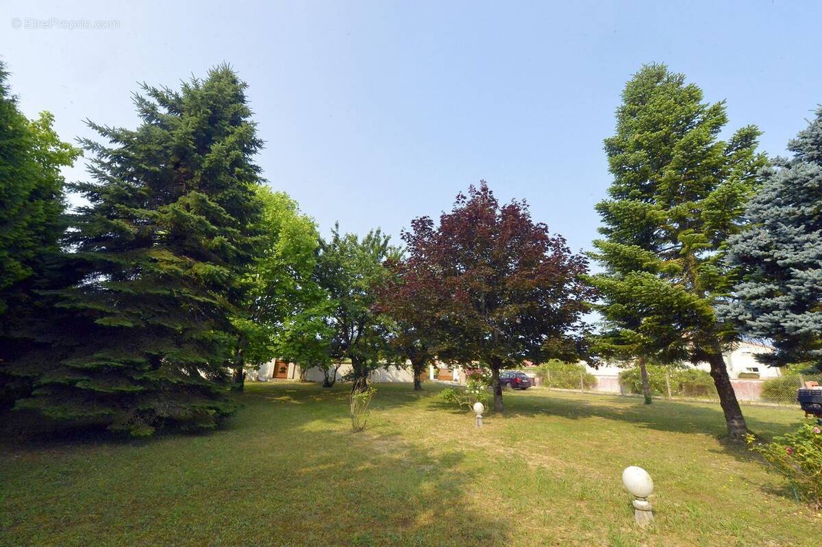 Terrain à MESCHERS-SUR-GIRONDE