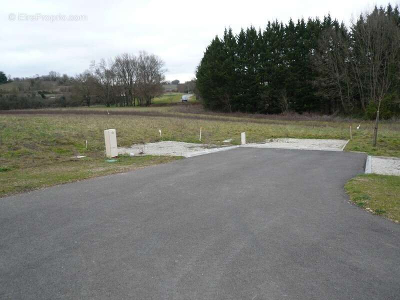 Terrain à SAINT-LAURENT-DE-COGNAC