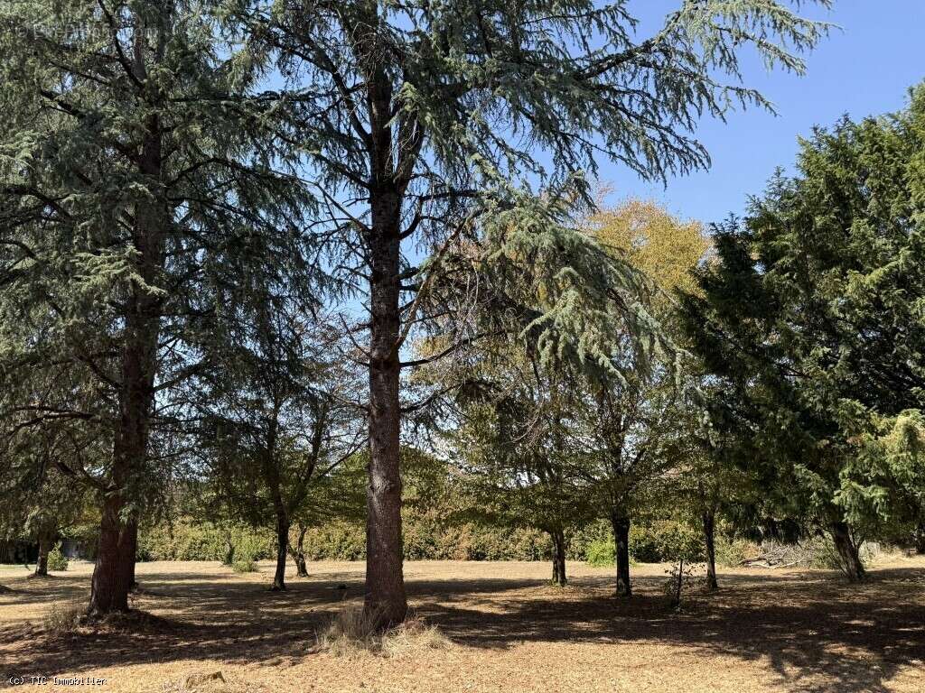 Exclusif : Grande Maison de Famille Dans le Village Médiéval de Verteuil-Sur-Charente - photo 5