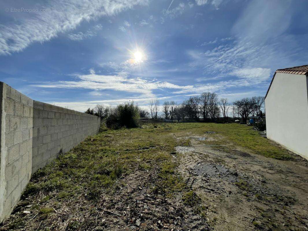 Terrain à SAINT-COLOMBAN