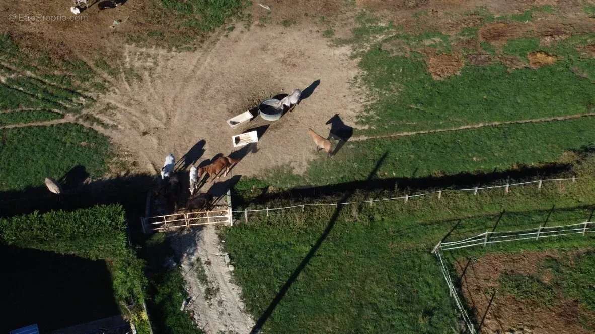 Maison à VILLECOMTAL-SUR-ARROS