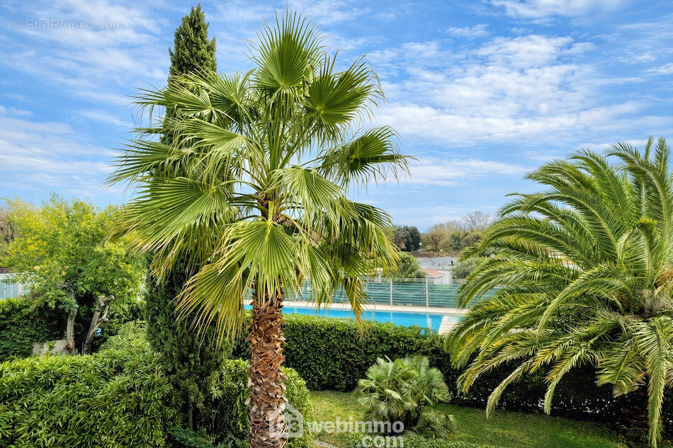 Situé dans un environnement calme. - Appartement à GRIMAUD