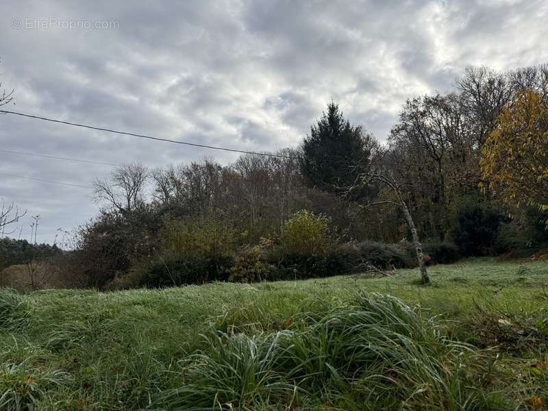 Maison à SAINT-LEGER-BRIDEREIX