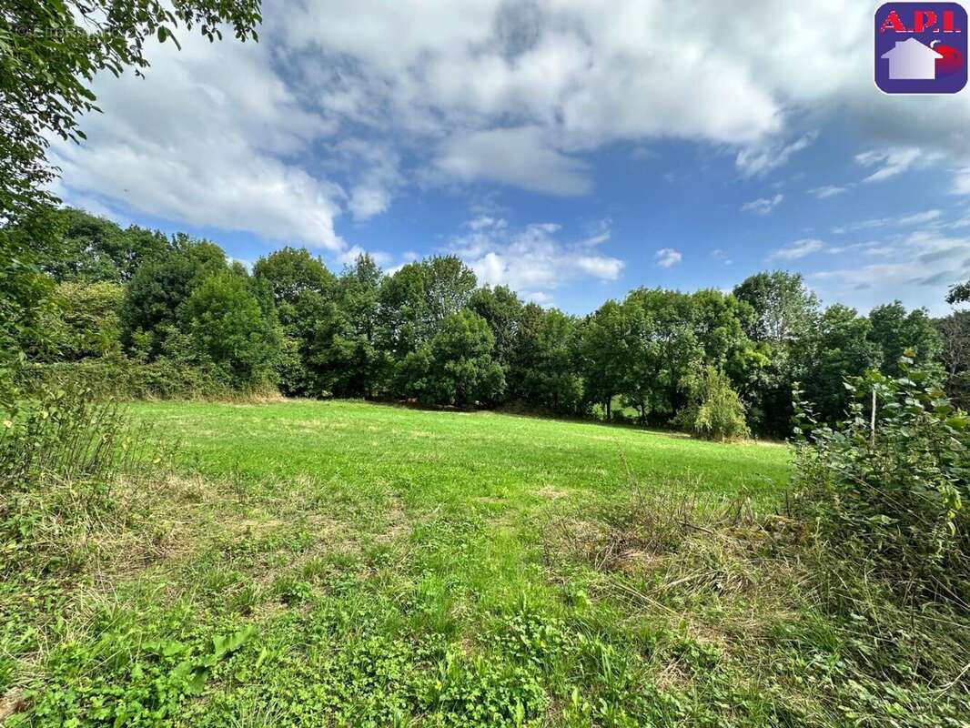 Terrain à LA BASTIDE-DE-SEROU