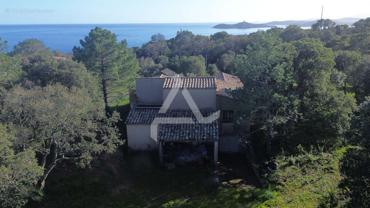 Maison à ZONZA