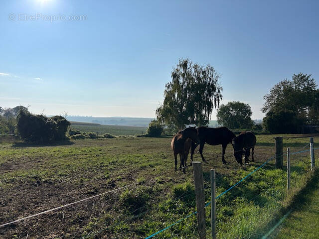 Terrain à MAIMBEVILLE